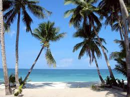 Beaches of the World